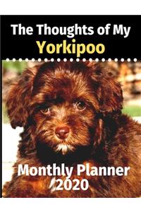 The Thoughts of My Yorkipoo