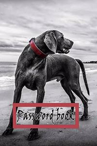 Password Book