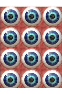 Human Eyeballs Everywhere Notebook Journal 150 Page College Ruled Pages 8.5 X 11