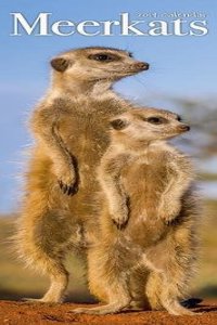 Meerkats Slim Calendar 2019