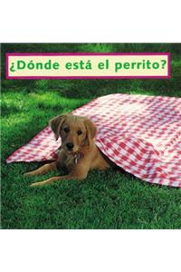 Where's the Puppy? (Spanish)