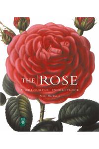 The Rose
