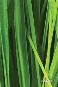Journal Pages - Green Grass (Decorative)(Unruled)