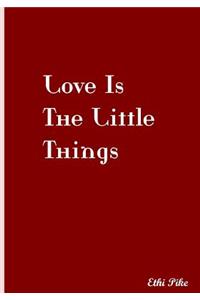 Love Is The Little Things