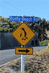 Penguin Crossing Sign at Bushy Beach in New Zealand Journal