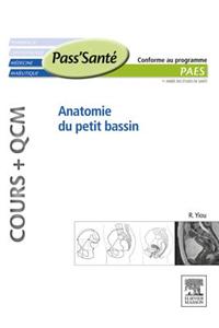 Anatomie Du Petit Bassin (Cours + Qcm)