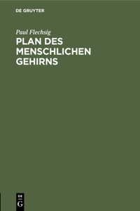 Plan Des Menschlichen Gehirns