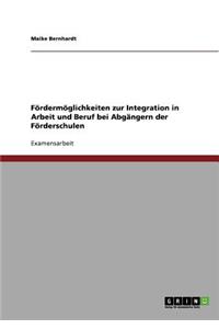 Fördermöglichkeiten zur Integration in Arbeit und Beruf bei Abgängern der Förderschulen