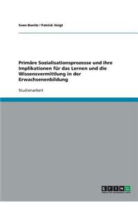 Prim?re Sozialisationsprozesse Und Ihre Implikationen F?r Das Lernen Und Die Wissensvermittlung in Der Erwachsenenbildung