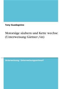 Motorsäge säubern und Kette wechseln (Unterweisung Gärtner /-in)