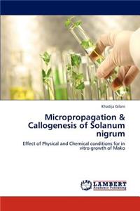 Micropropagation & Callogenesis of Solanum Nigrum