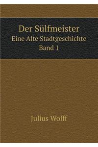 Der Sülfmeister Eine Alte Stadtgeschichte. Band 1