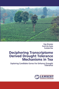 Deciphering Transcriptome Derived Drought Tolerance Mechanisms in Tea