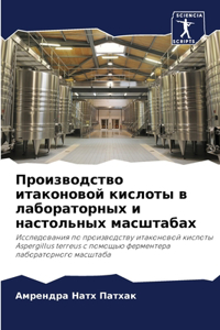 Производство итаконовой кислоты в лабора