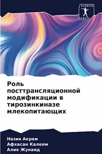 Роль посттрансляционной модификации в ти