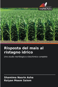 Risposta del mais al ristagno idrico