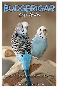 Budgerigar Care Guide