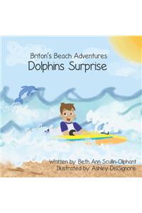 Briton's Beach Adventures Dolphins Surprise