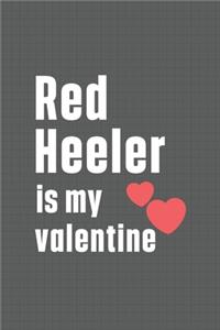 Red Heeler is my valentine