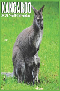 kangaroo 2021 Wall Calendar