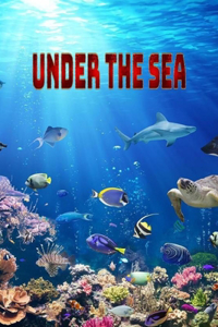 Under the sea