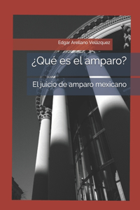 ¿Qué es el amparo?