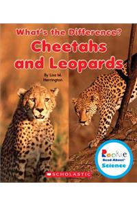 Cheetahs and Leopards