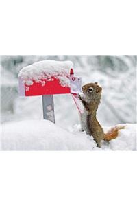 Squirrel's Greetings Boxed Holiday Half Notecards