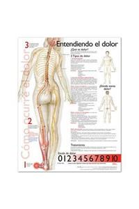 Understanding Pain Anatomical Chart in Spanish