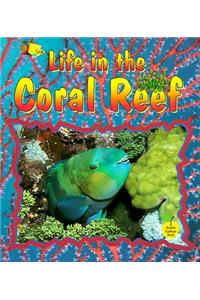 Life in the Coral Reef