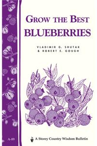 Grow the Best Blueberries