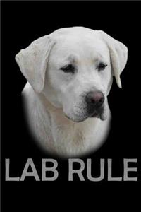 Labs Rule
