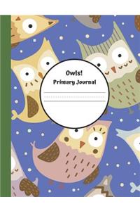 Owls Primary Journal
