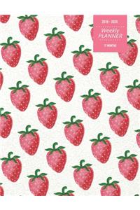 2019 - 2020 - Weekly Planner - 17 Months