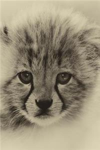 Baby Cheetah Notebook