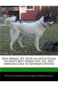 Dog Breeds 101