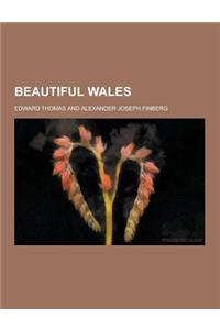 Beautiful Wales