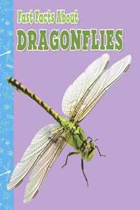 Fast Facts About Dragonflies