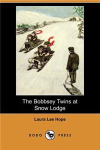 The Bobbsey Twins at Snow Lodge