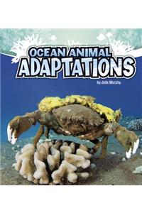 Amazing Animal Adaptations Ocean Animal Adaptations