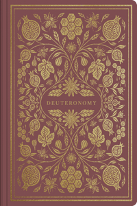 ESV Illuminated Scripture Journal