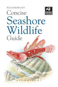 Concise Seashore Wildlife Guide