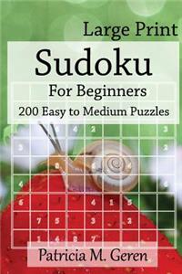 Large Print Sudoku For Beginners