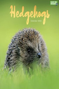 Hedgehogs Square Wall Calendar 2023