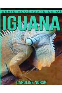 Iguana