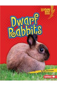 Dwarf Rabbits