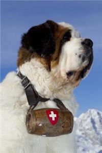 St Bernard Dog in the Swiss Alps Journal