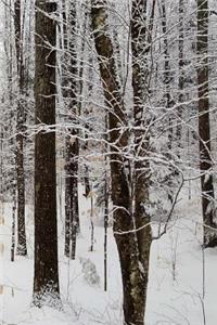 Winter Season Journal Pretty Woods