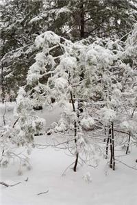 Pretty Winter Day Photography Journal