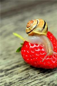 A Snail on a Strawberry Journal